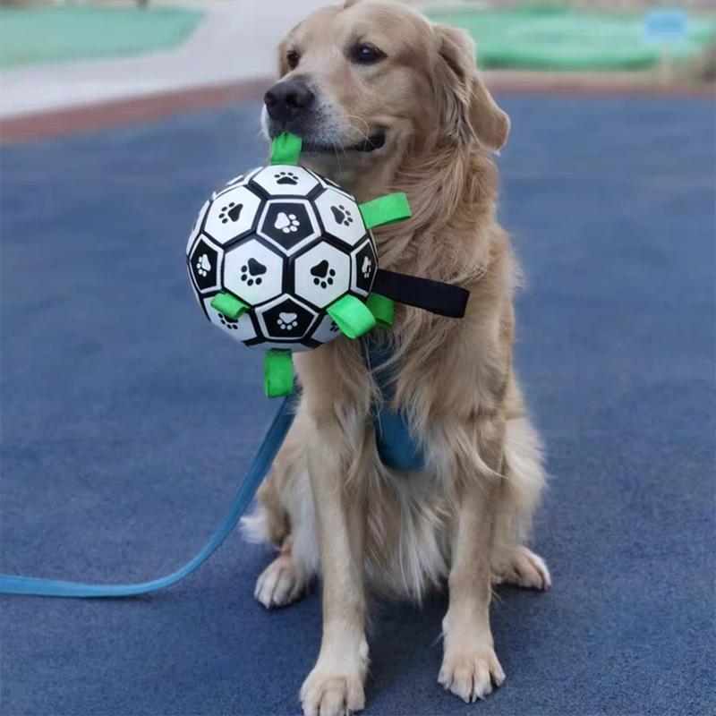 Bola de futebol para Cachorro